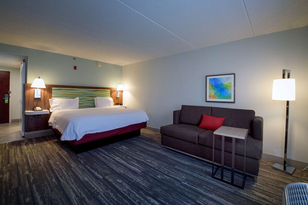 Standard Room, 1 King Bed with Sofa bed