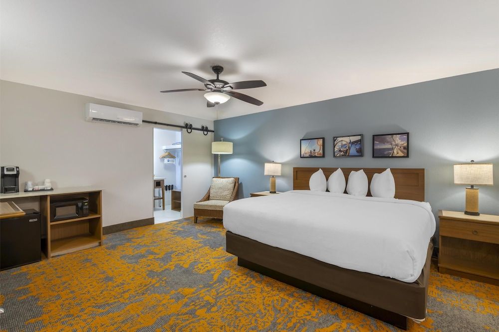 Standard Room, 1 King Bed, Non Smoking