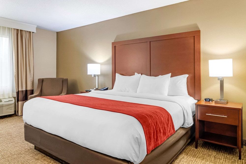 Room, 1 King Bed, Non Smoking