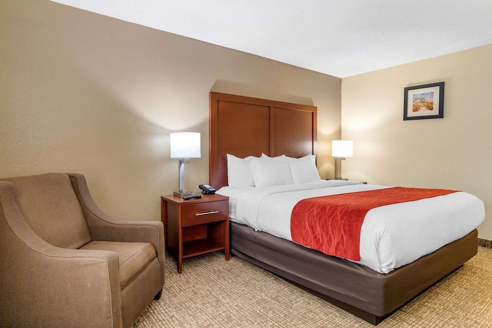 Room, 1 King Bed, Non Smoking
