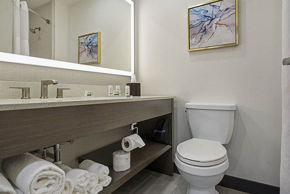 Standard Room, 1 King Bed, Accessible