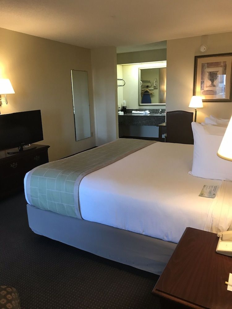 Room, 1 King Bed, Accessible, Non Smoking