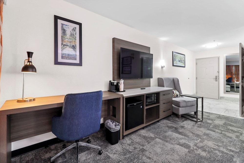 Room, 1 King Bed, Accessible, Non Smoking (Tub with Grab Bars)