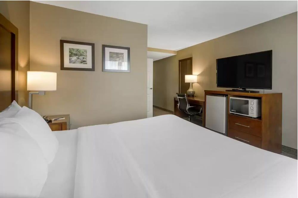 Standard Room, 1 King Bed, Non Smoking
