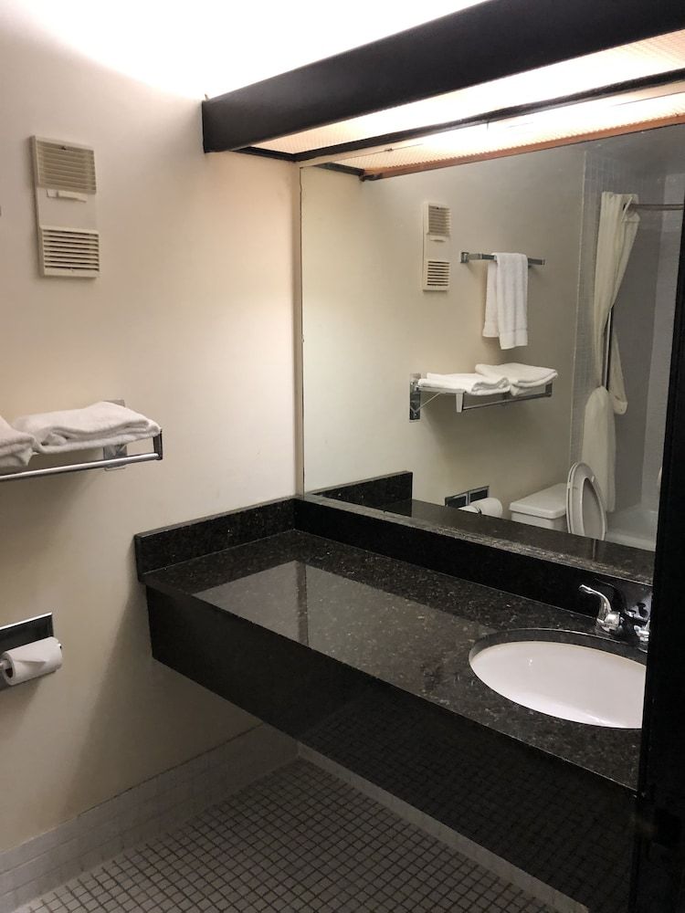 Araamda Inn Norcross Deluxe Room, 1 King Bed 8