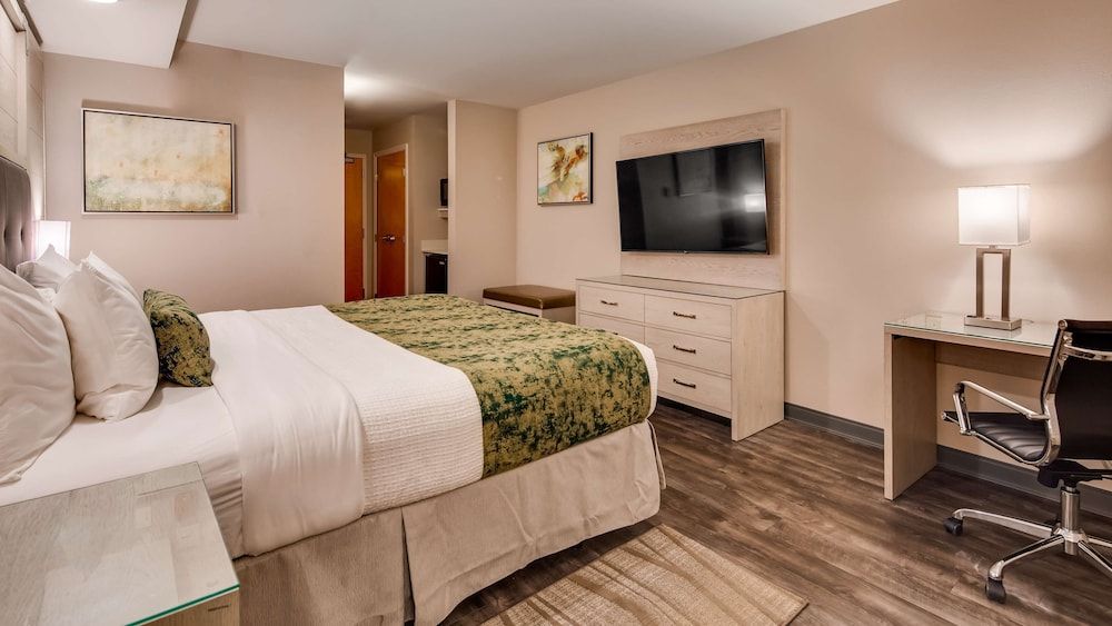 Best Western Premier I-95 Savannah Airport / Pooler West Standard Room, 1 King Bed, Refrigerator & Microwave 2