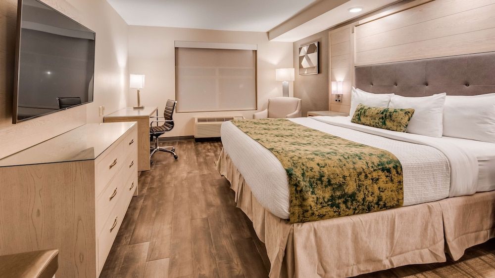 Best Western Premier I-95 Savannah Airport / Pooler West Standard Room, 1 King Bed, Refrigerator & Microwave 3