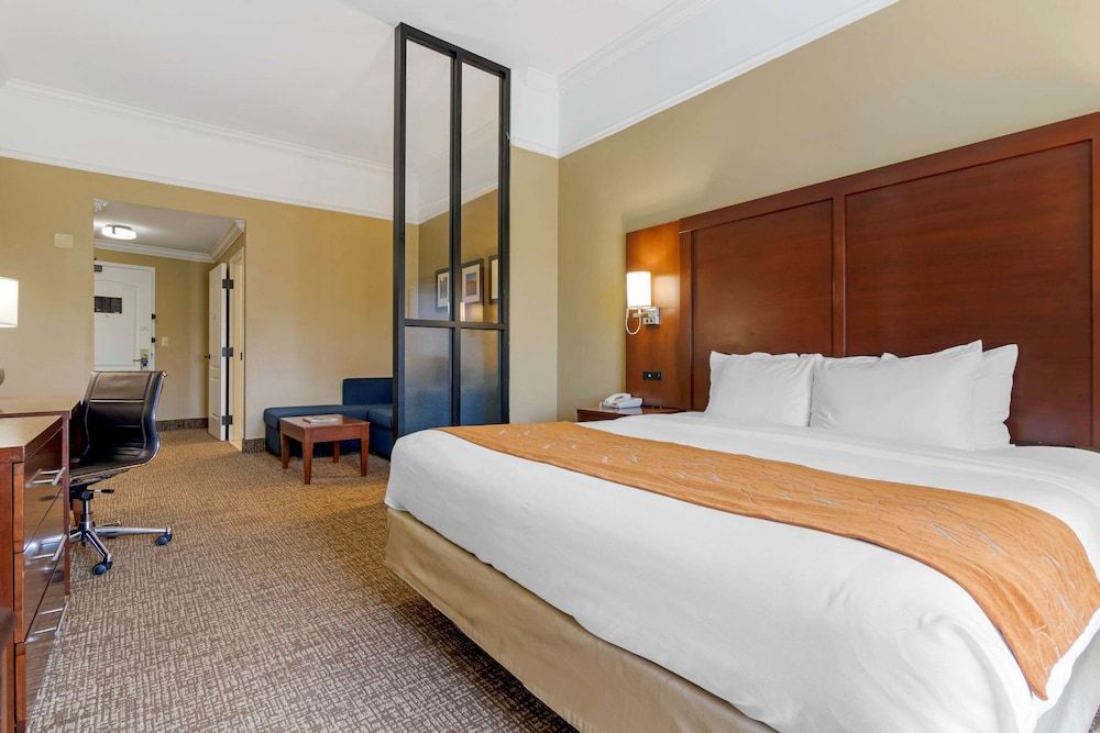 Suite, 1 King Bed with Sofa bed, Accessible, Non Smoking
