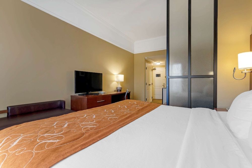 Suite, 1 King Bed with Sofa bed, Non Smoking (Pet Friendly)