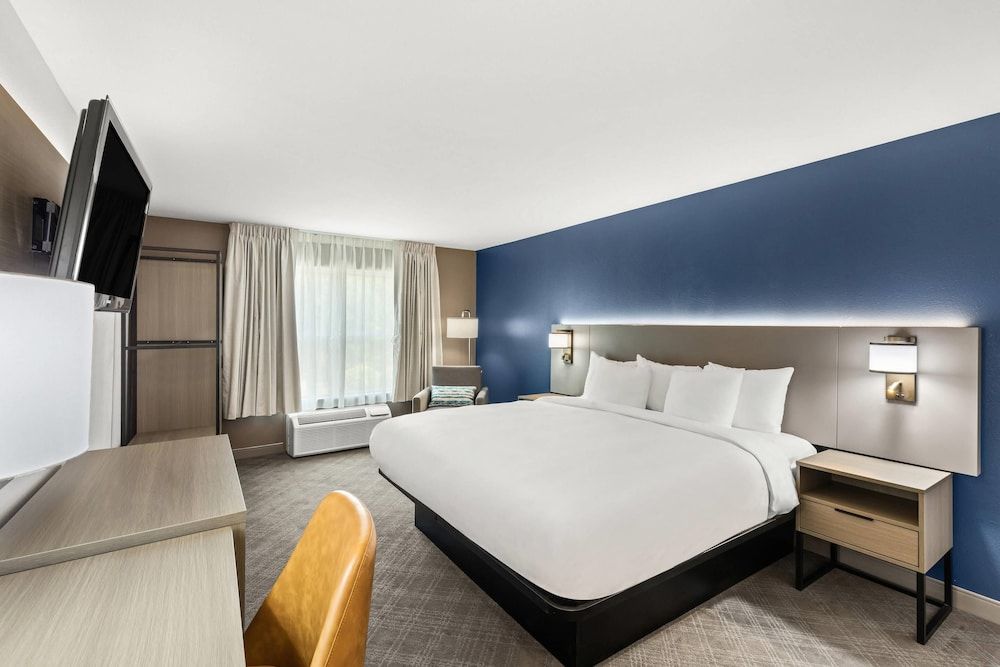Room, 1 King Bed, Non Smoking