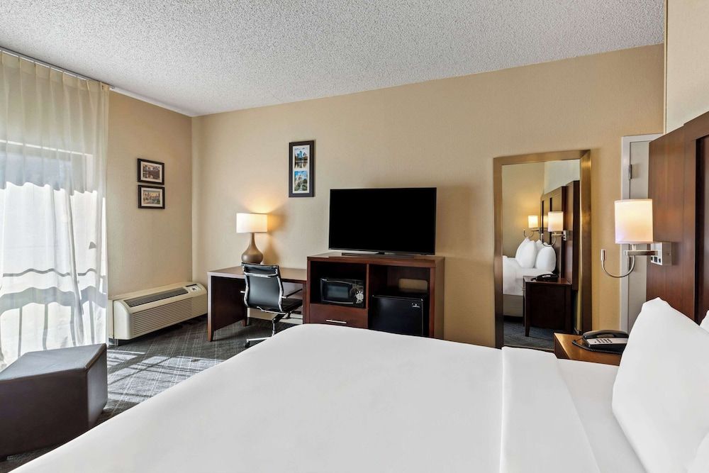 Comfort Inn Roswell-Dunwoody Standard King Non Smoking 5