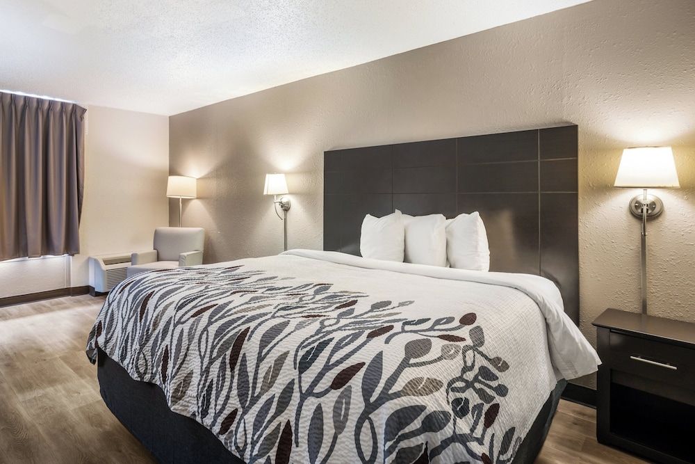 Red Roof Inn Savannah - Southside/Midtown Deluxe Room, 1 King Bed, Non Smoking 5