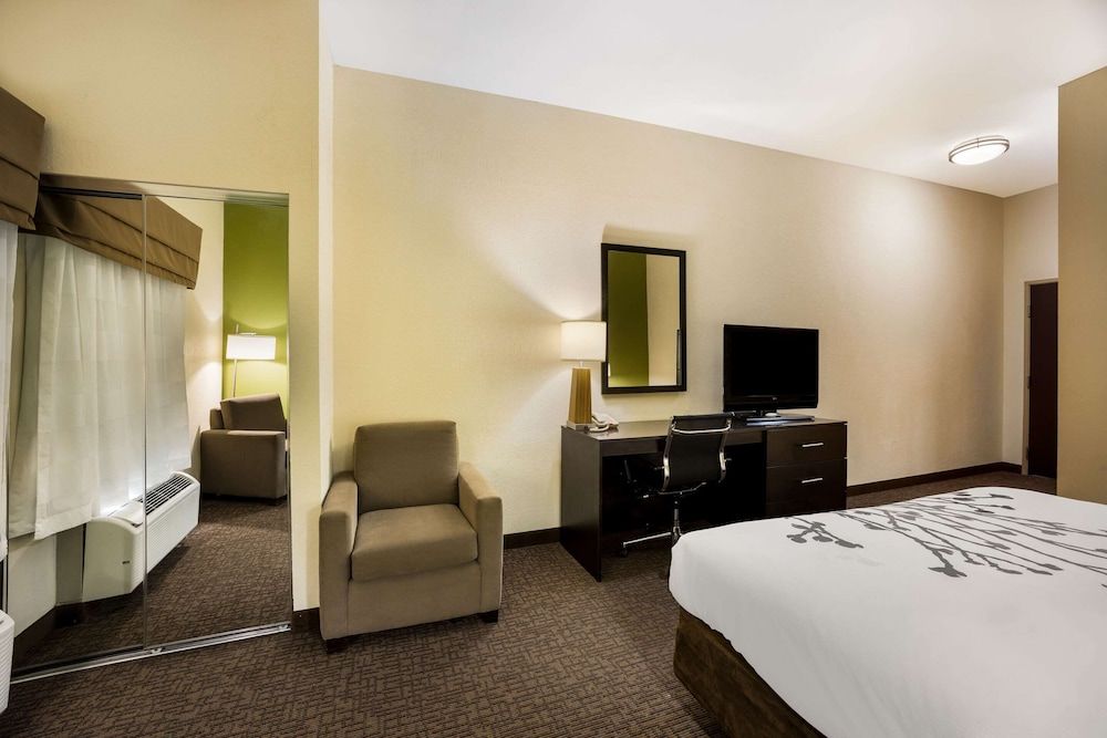 Standard Room, 1 King Bed, Non Smoking