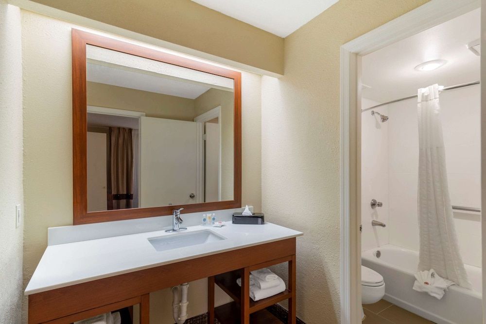 Suite, 1 King Bed, Non Smoking