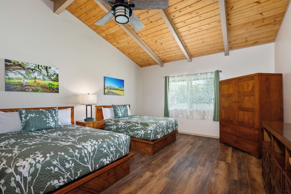 Deluxe Room, Kitchenette