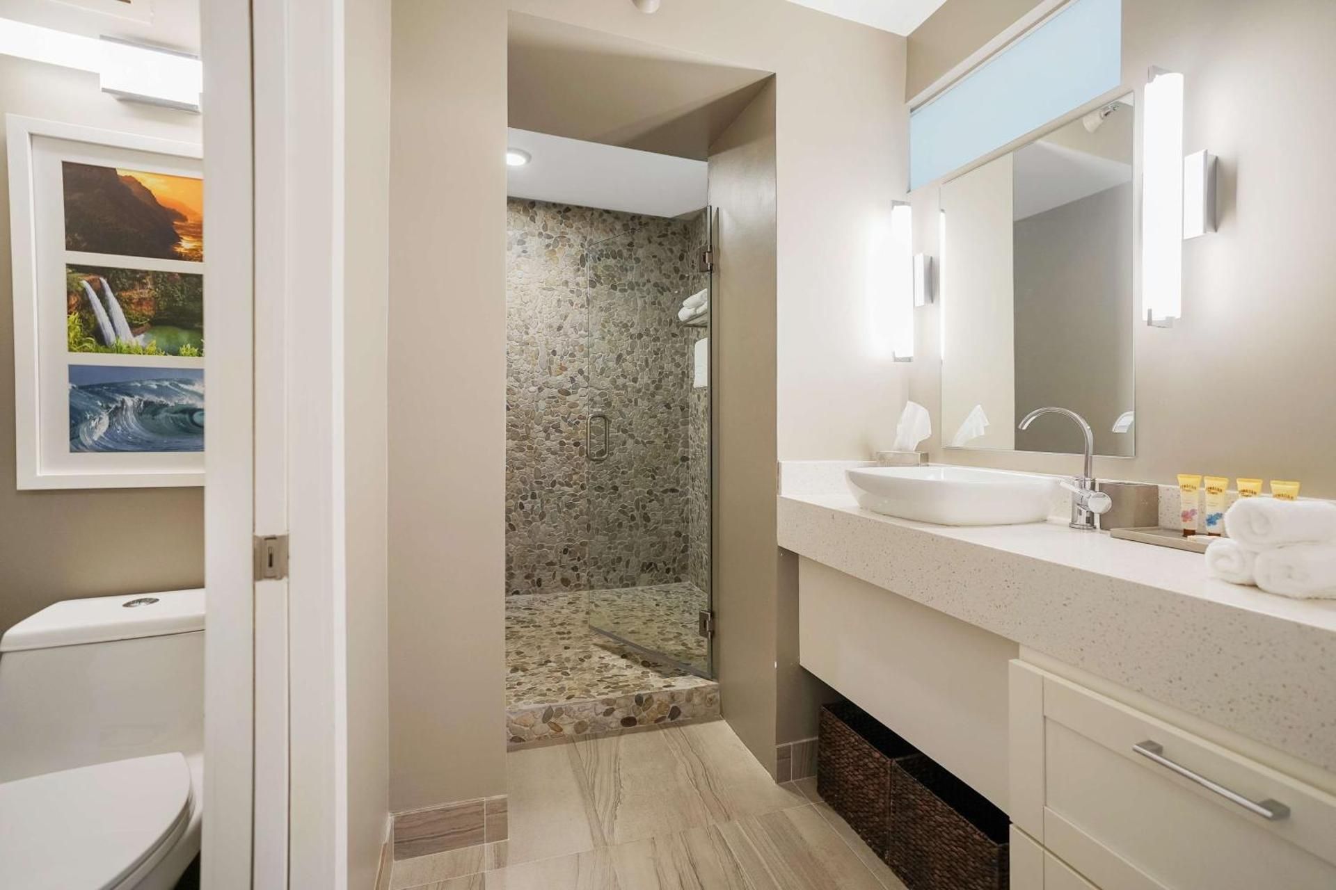 Signature Junior Suite 1 King Bed