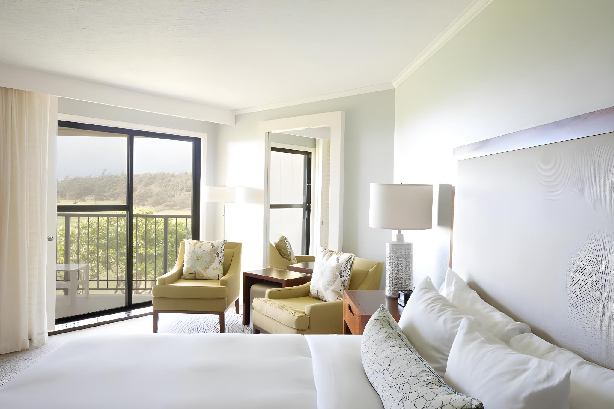Premium Garden View 1 King Bed