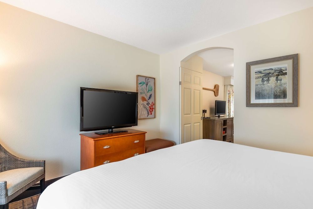 Executive Suite, 1 King Bed, Non Smoking, Refrigerator & Microwave (with Sofabed)