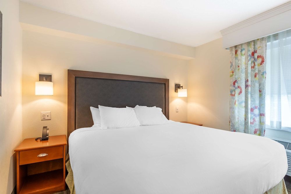 Executive Suite, 1 King Bed, Non Smoking, Refrigerator & Microwave (with Sofabed)