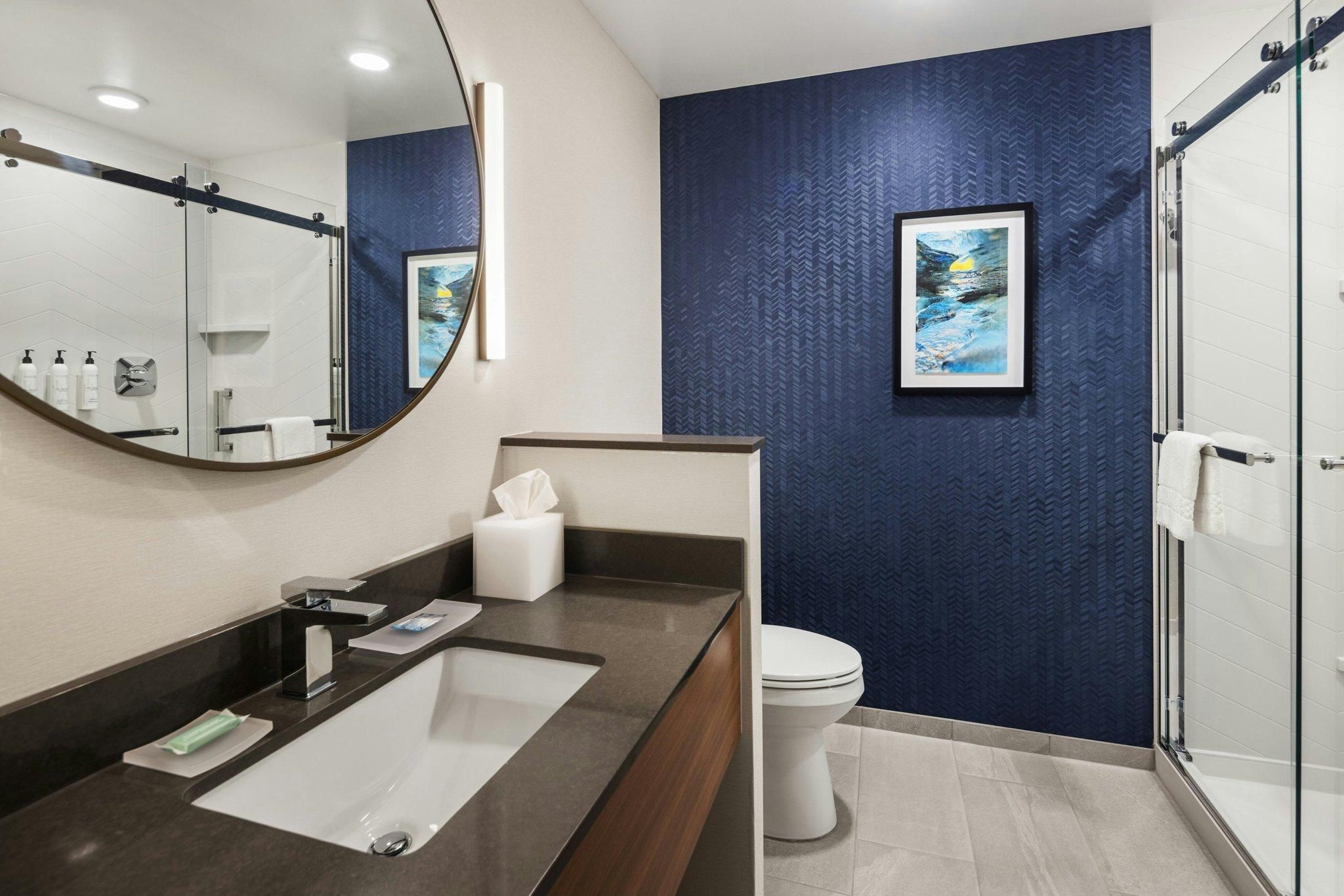 Fairfield Inn & Suites by Marriott Cedar Rapids North Suite, 1 King, Sofa bed 9