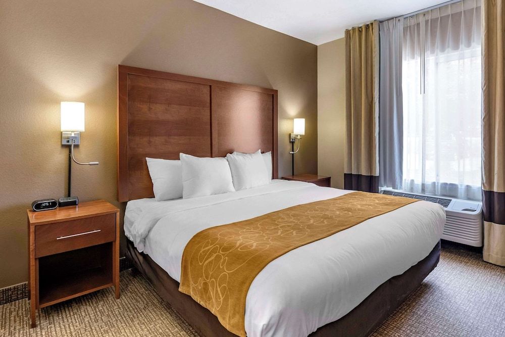 Room, 1 King Bed with Sofa bed, Accessible, Non Smoking (Roll-In Shower)