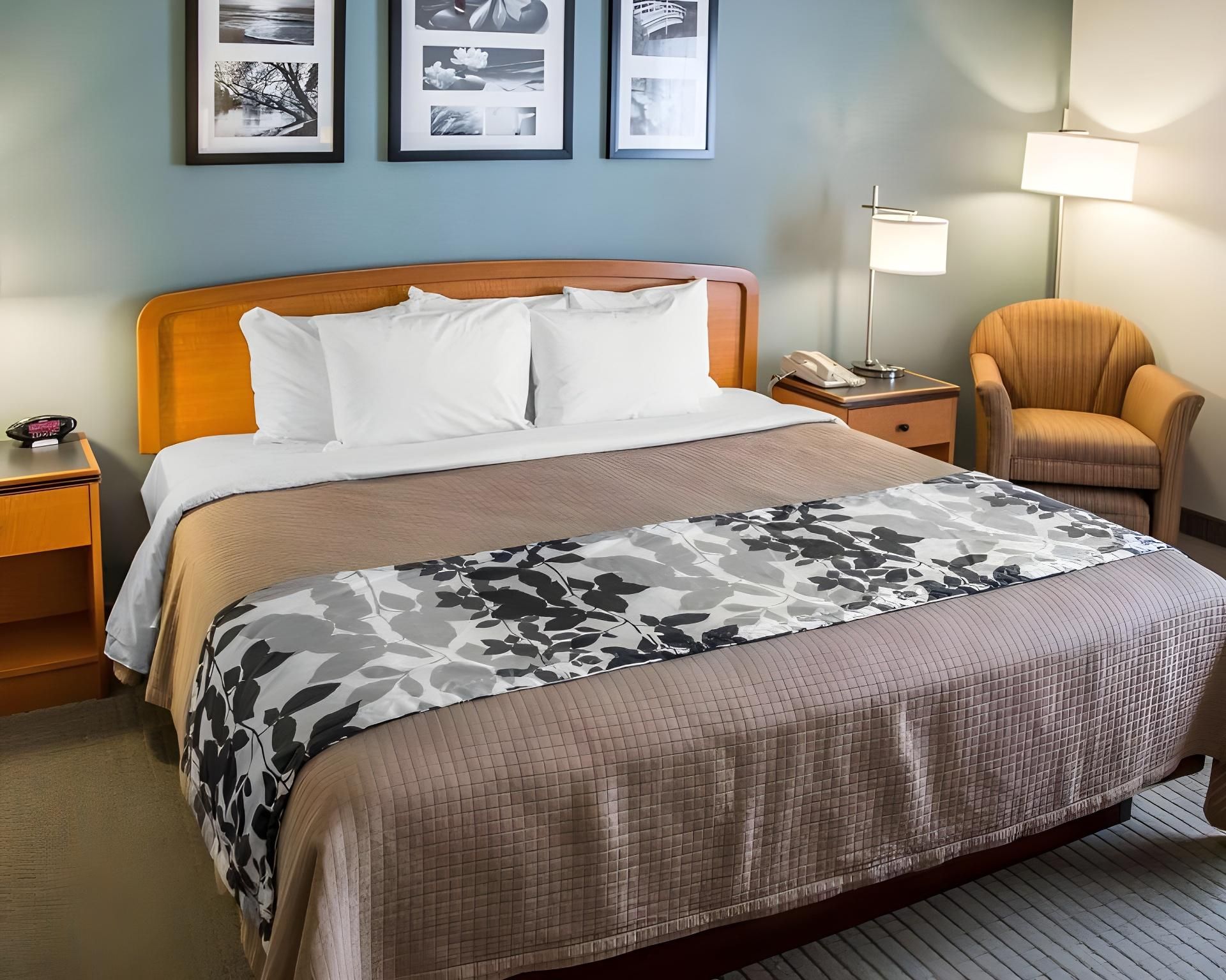 1 King Bed, Non-Smoking