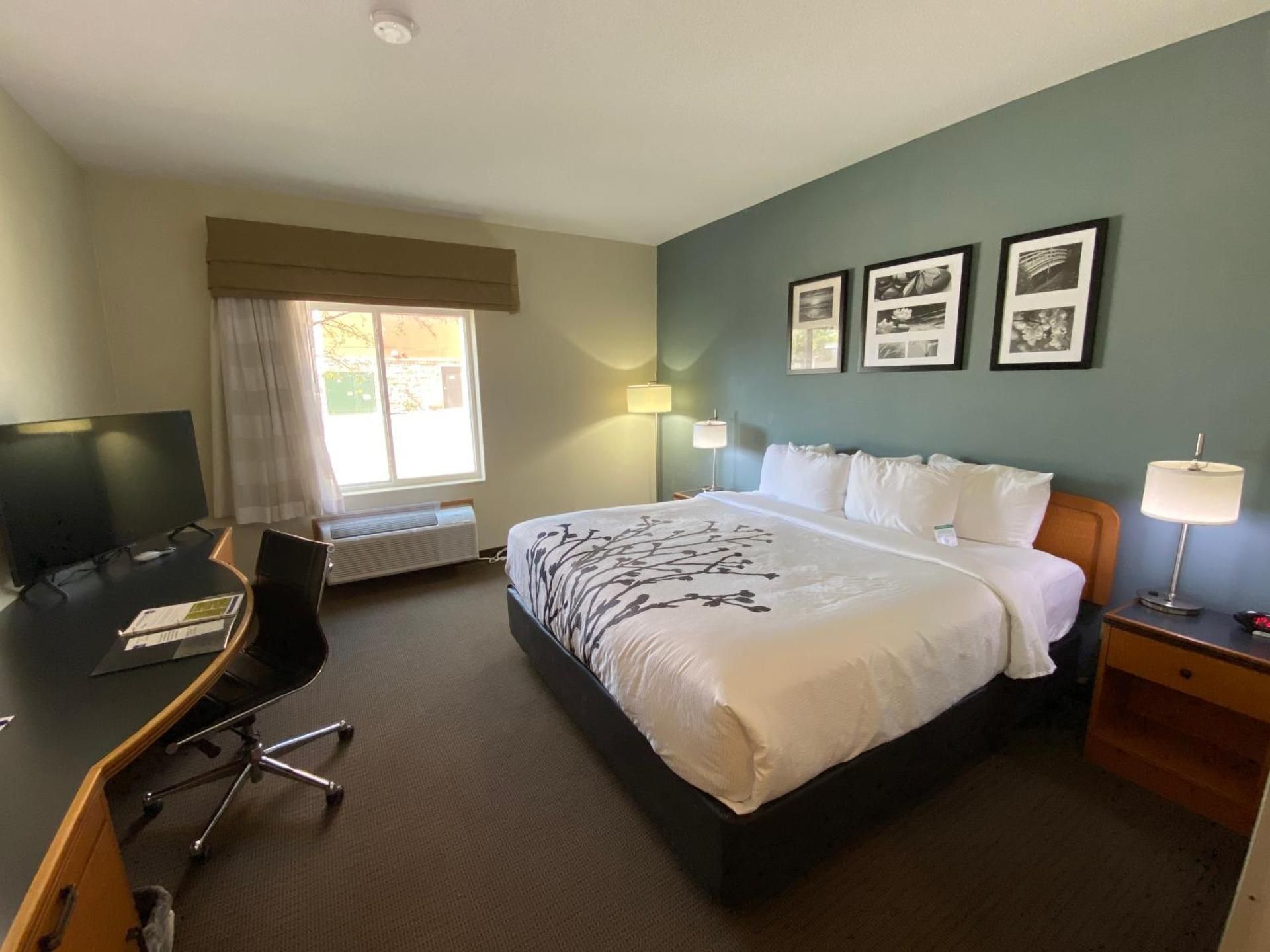 1 King Bed, Nonsmoking