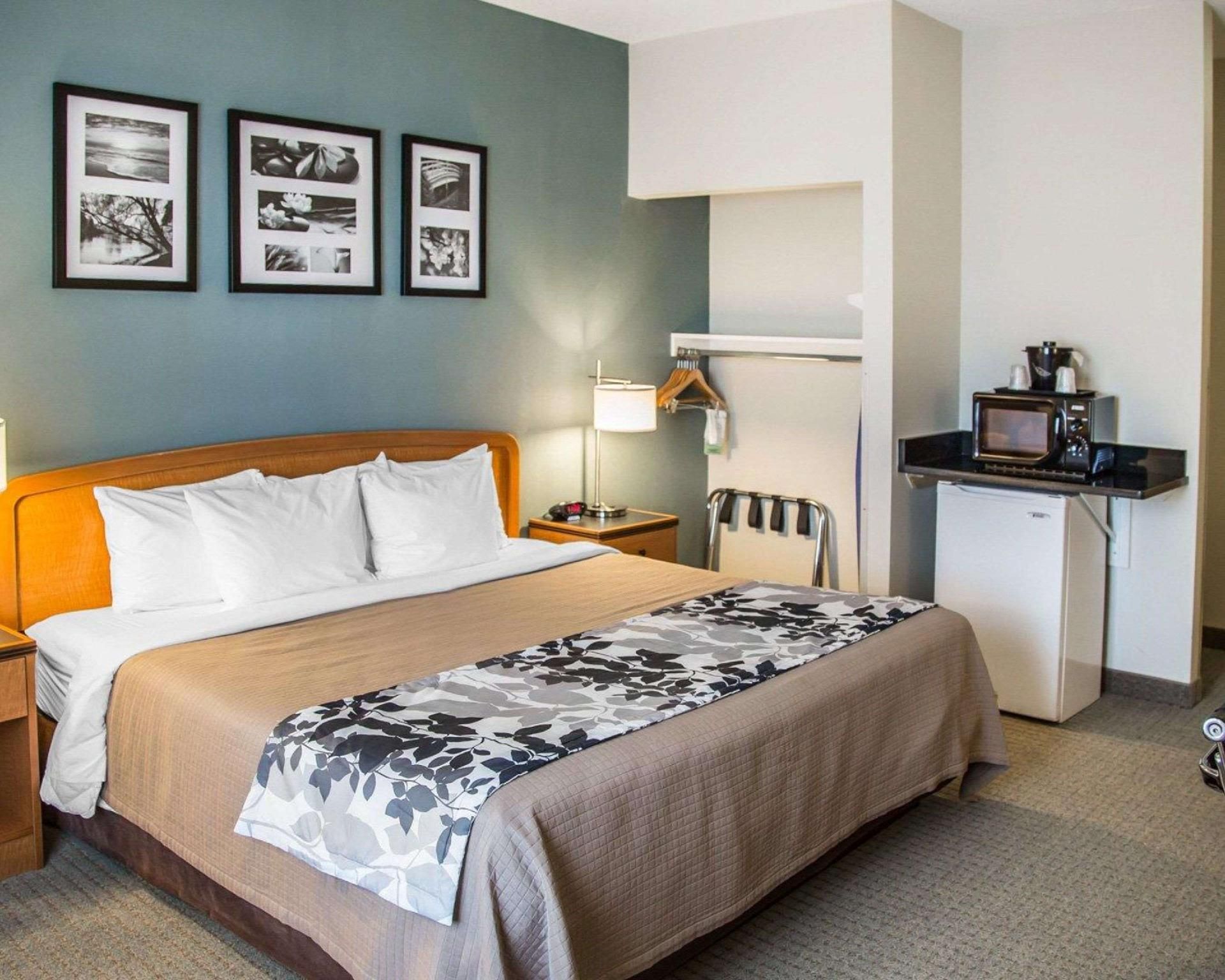 1 King Bed, Suite, Nonsmoking