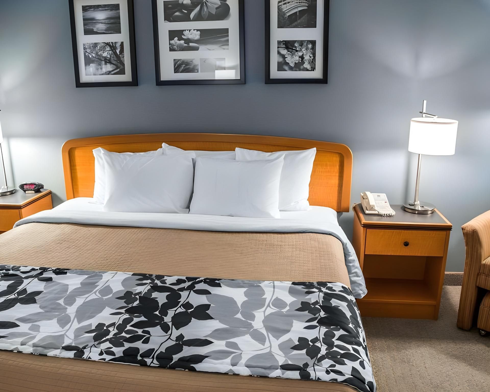 1 King Bed, Non-Smoking