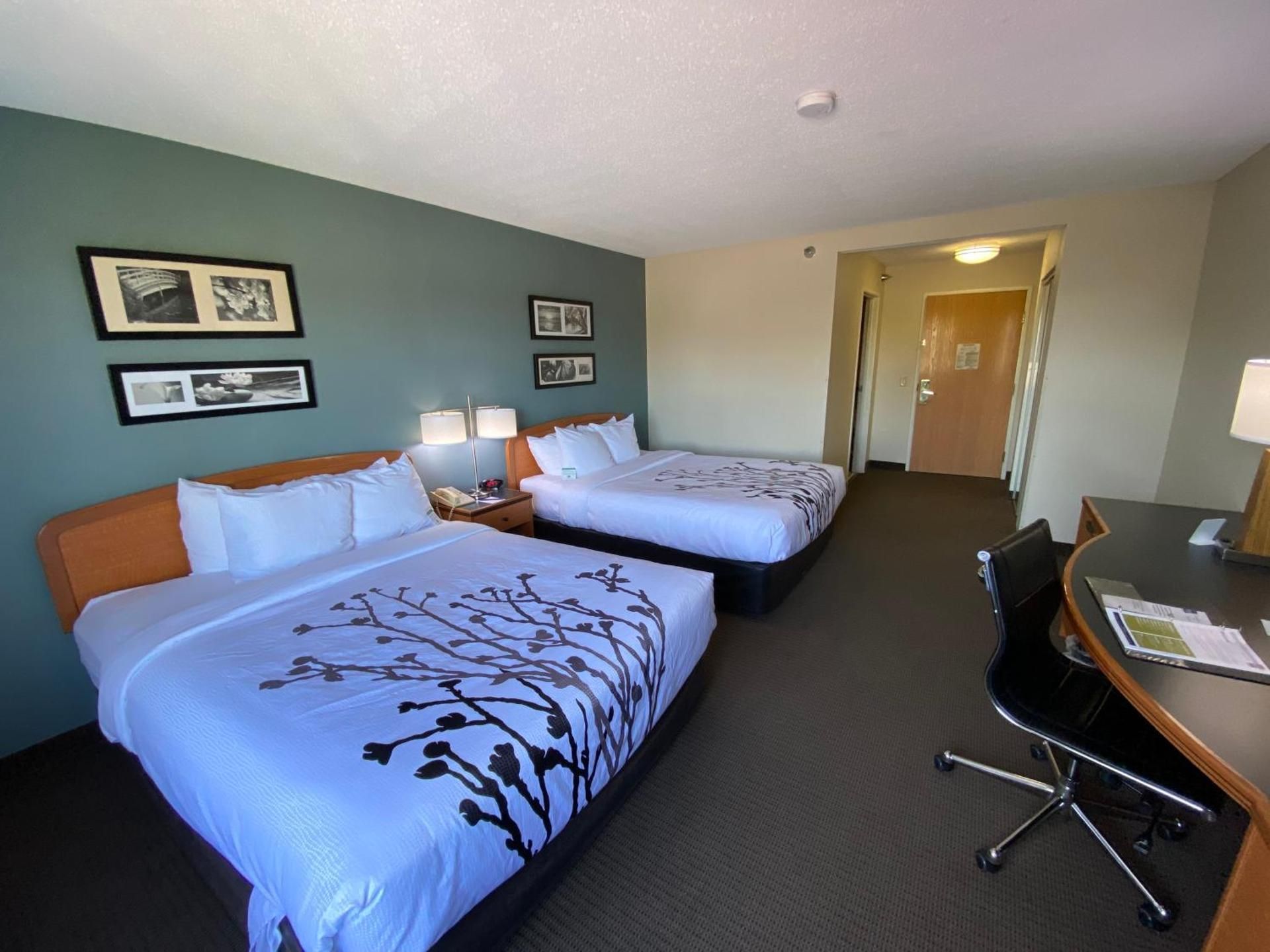 2 Queen Beds, Nonsmoking