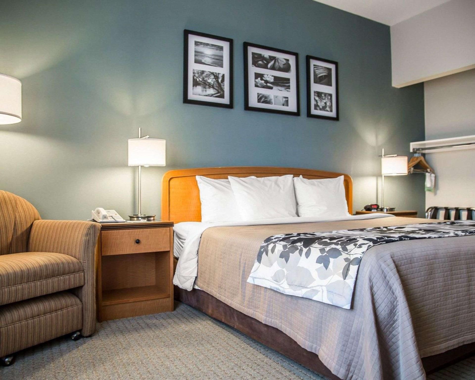 1 King Bed, Suite, Nonsmoking