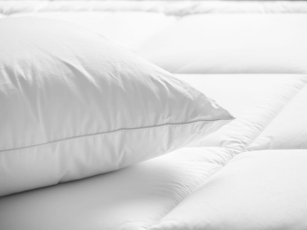 Premium Suite, 1 King Bed (Wellness, In-room air purification)