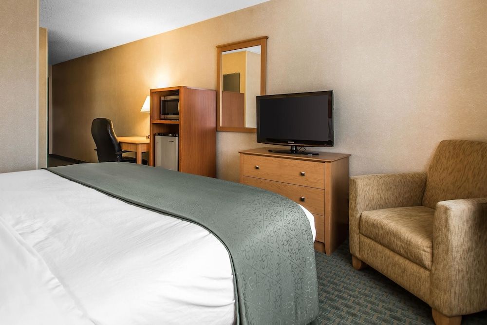 Room, 1 King Bed, Non Smoking