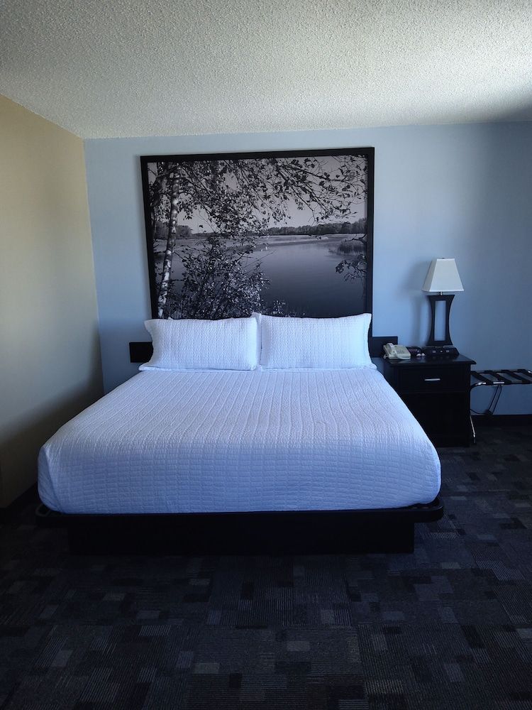 Suite, 1 King Bed, Non Smoking