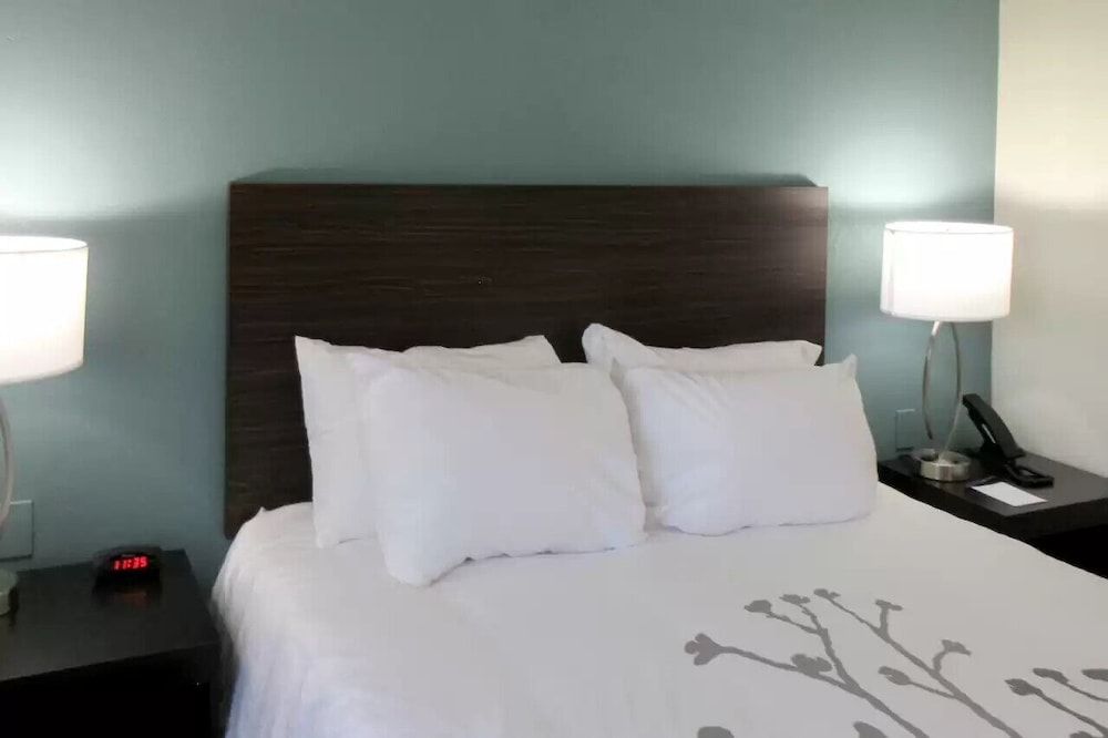Standard Room, 1 Queen Bed, Non Smoking
