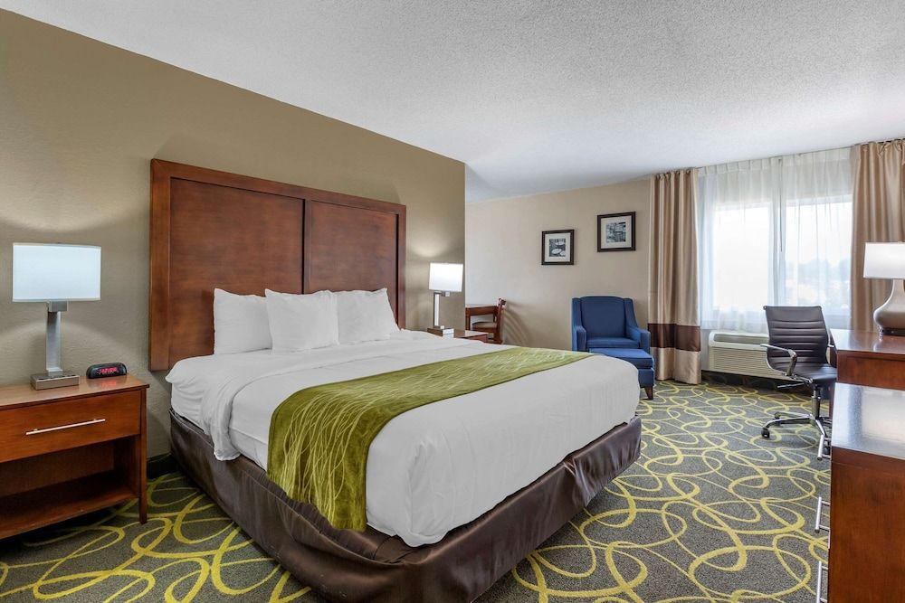 Room, 1 King Bed, Non Smoking