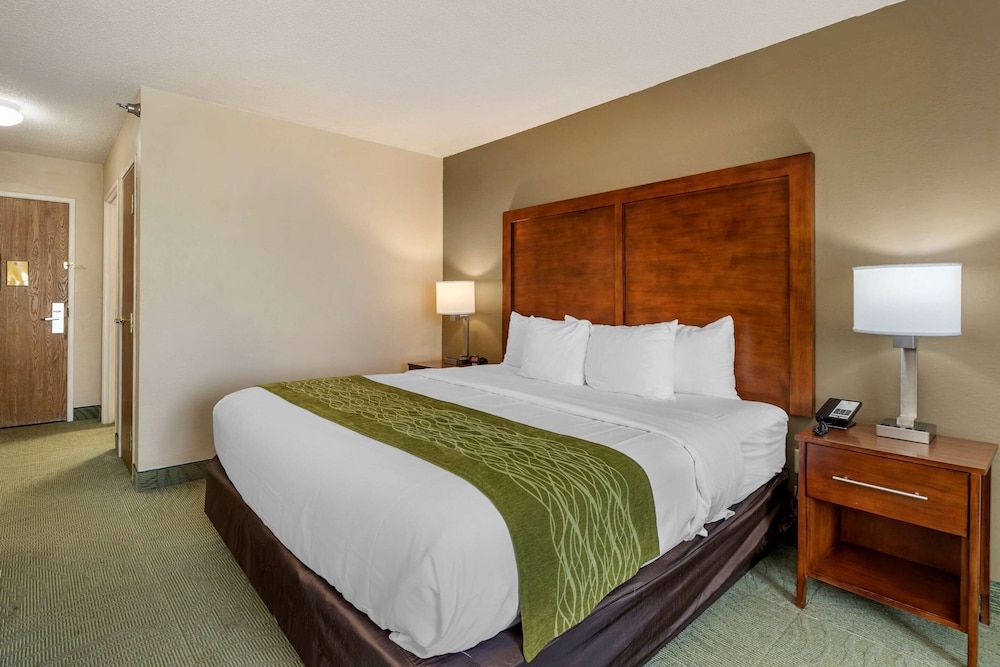 Room, 1 King Bed, Non Smoking