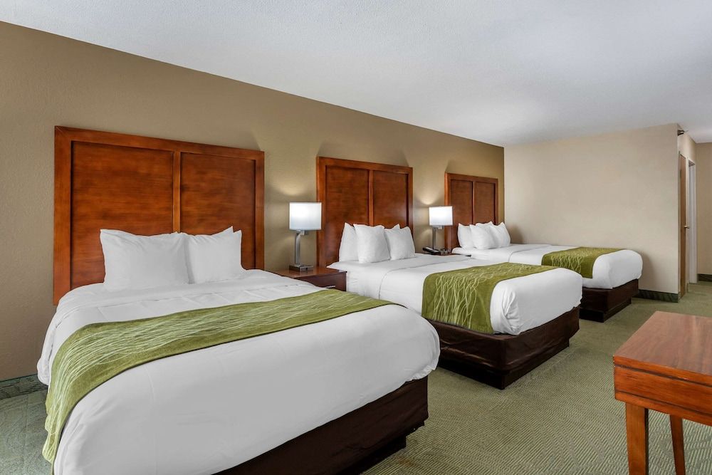 Suite, Multiple Beds, Non Smoking