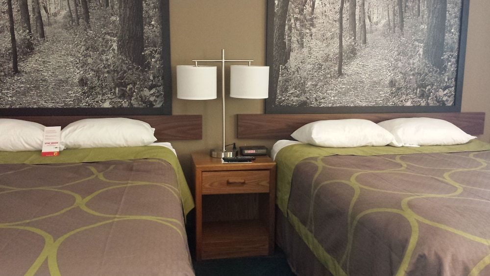 Studio Suite, Multiple Beds, Non Smoking