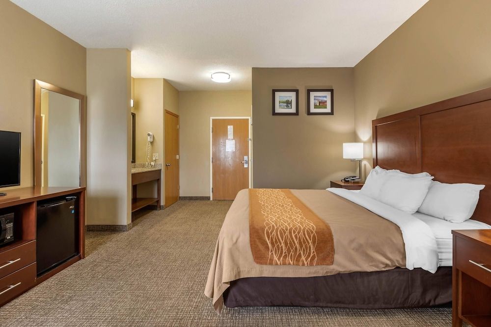Standard Room, 1 King Bed, Non Smoking