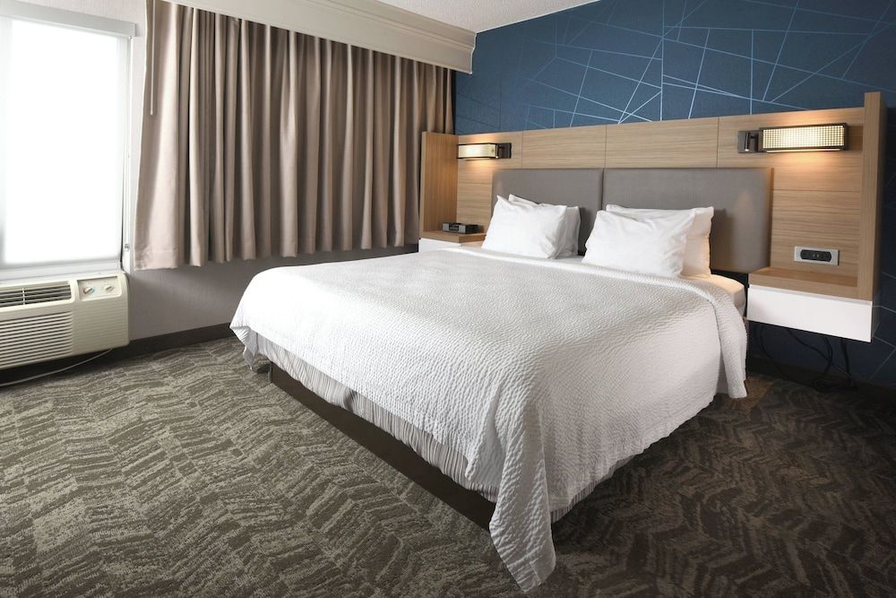 Suite, 1 King Bed with Sofa bed