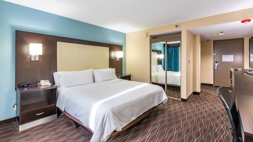 Standard Room, 1 King Bed, Mountain View