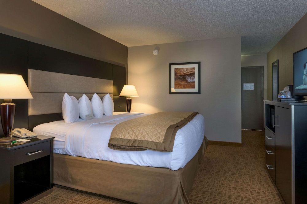 Room, 1 King Bed, Accessible, Non Smoking (Mobility,tub w grab bars)
