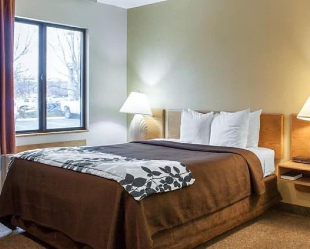 Room, 1 Queen Bed, Accessible, Non Smoking (Pet Friendly)