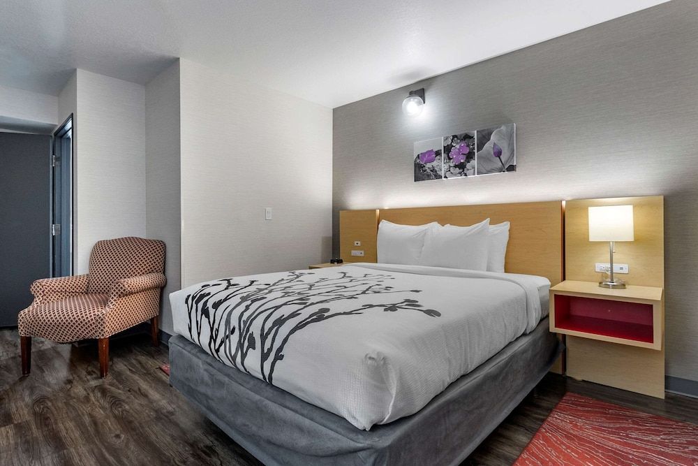 Sleep Inn & Suites Jerome - Twin Falls Room, 1 Queen Bed, Accessible, Non Smoking 2