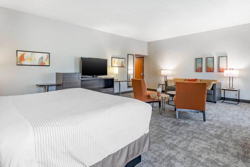 Suite, 1 King Bed, Non Smoking
