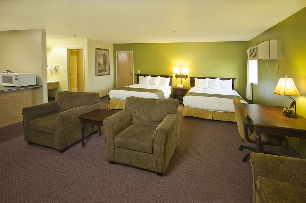 Studio Suite, Multiple Beds, Non Smoking