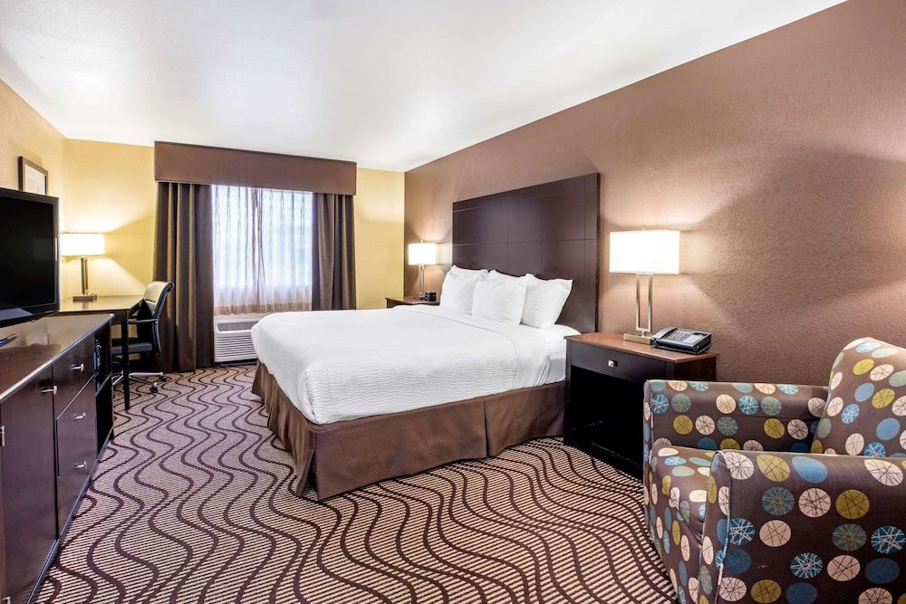 Room, 1 King Bed, Non Smoking