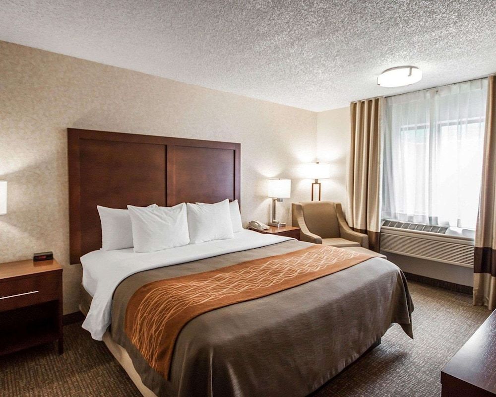 Standard Room, 1 King Bed, Non Smoking