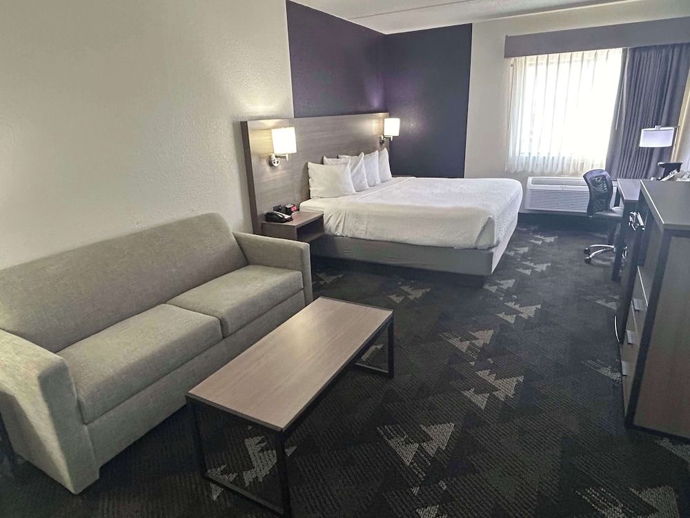 Standard Room, 1 King Bed, Non Smoking (Walk-in Shower;with Sofabed)